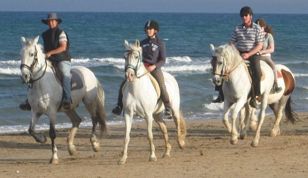 Horse riding at the beach of
	  Costa Blanca